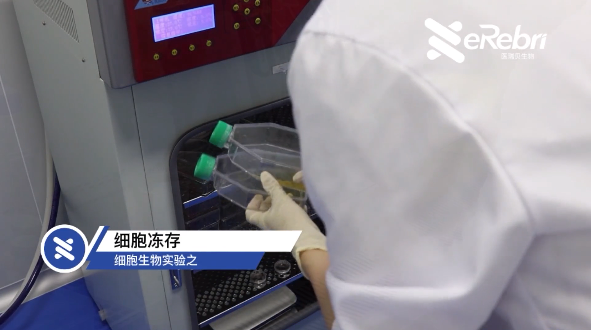 細胞實驗-細胞凍存