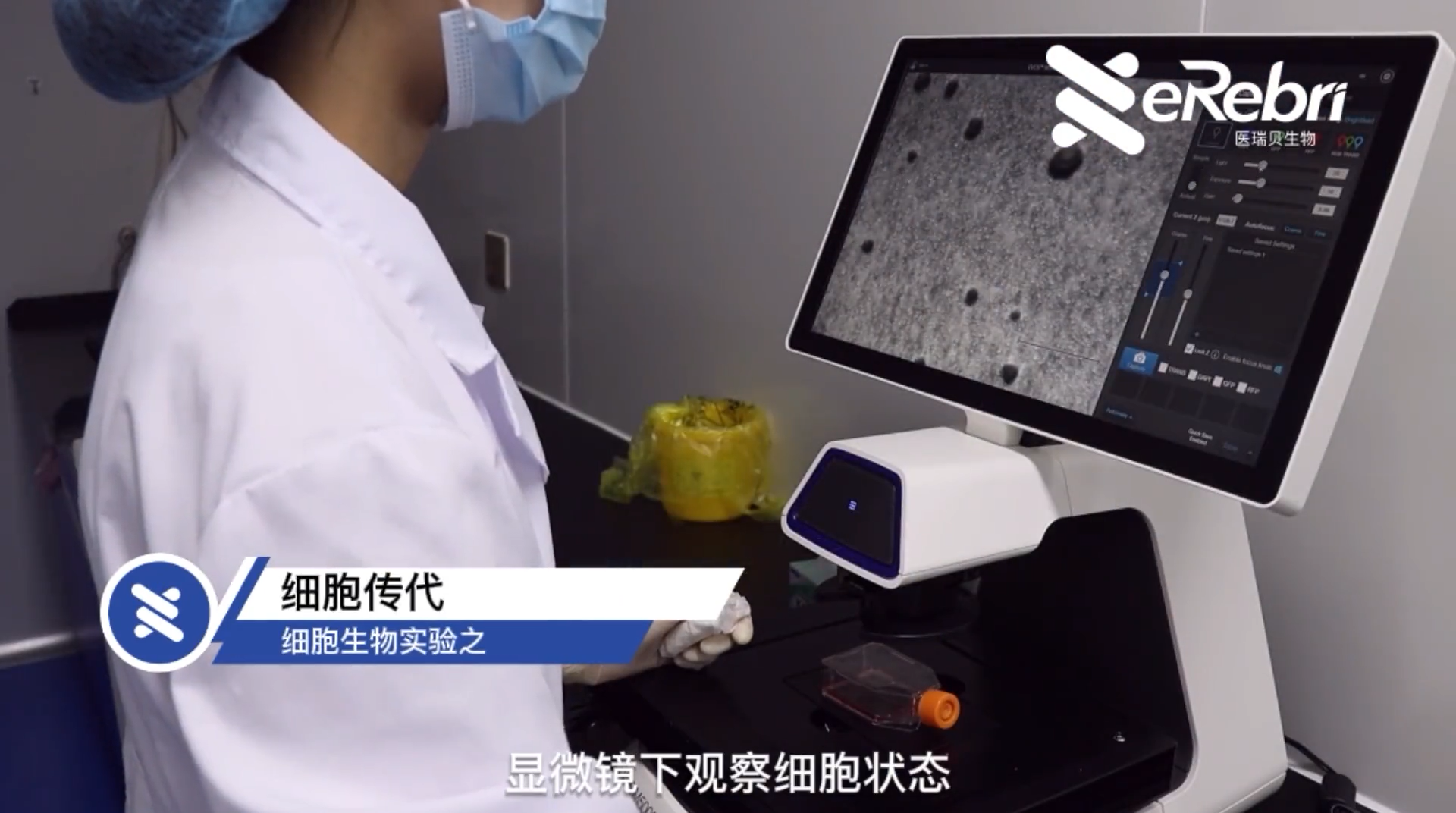 細胞實驗-細胞傳代