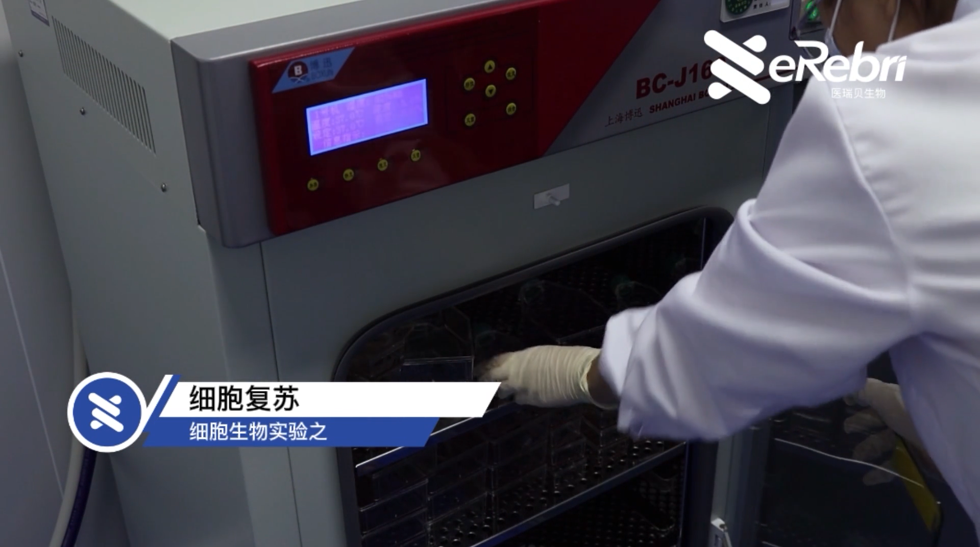 細胞實驗-細胞復蘇