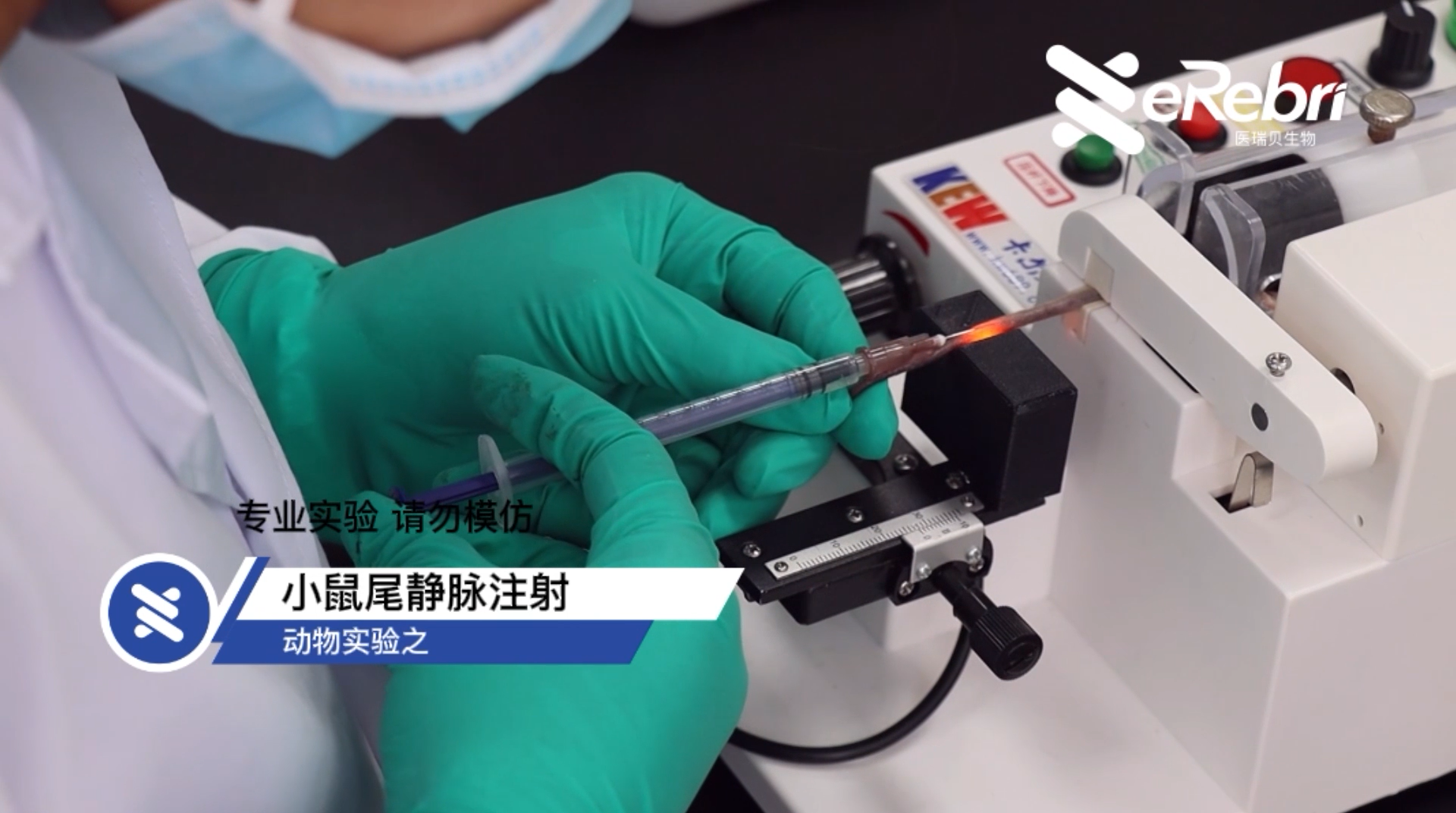 動物實驗-小鼠尾靜脈注射