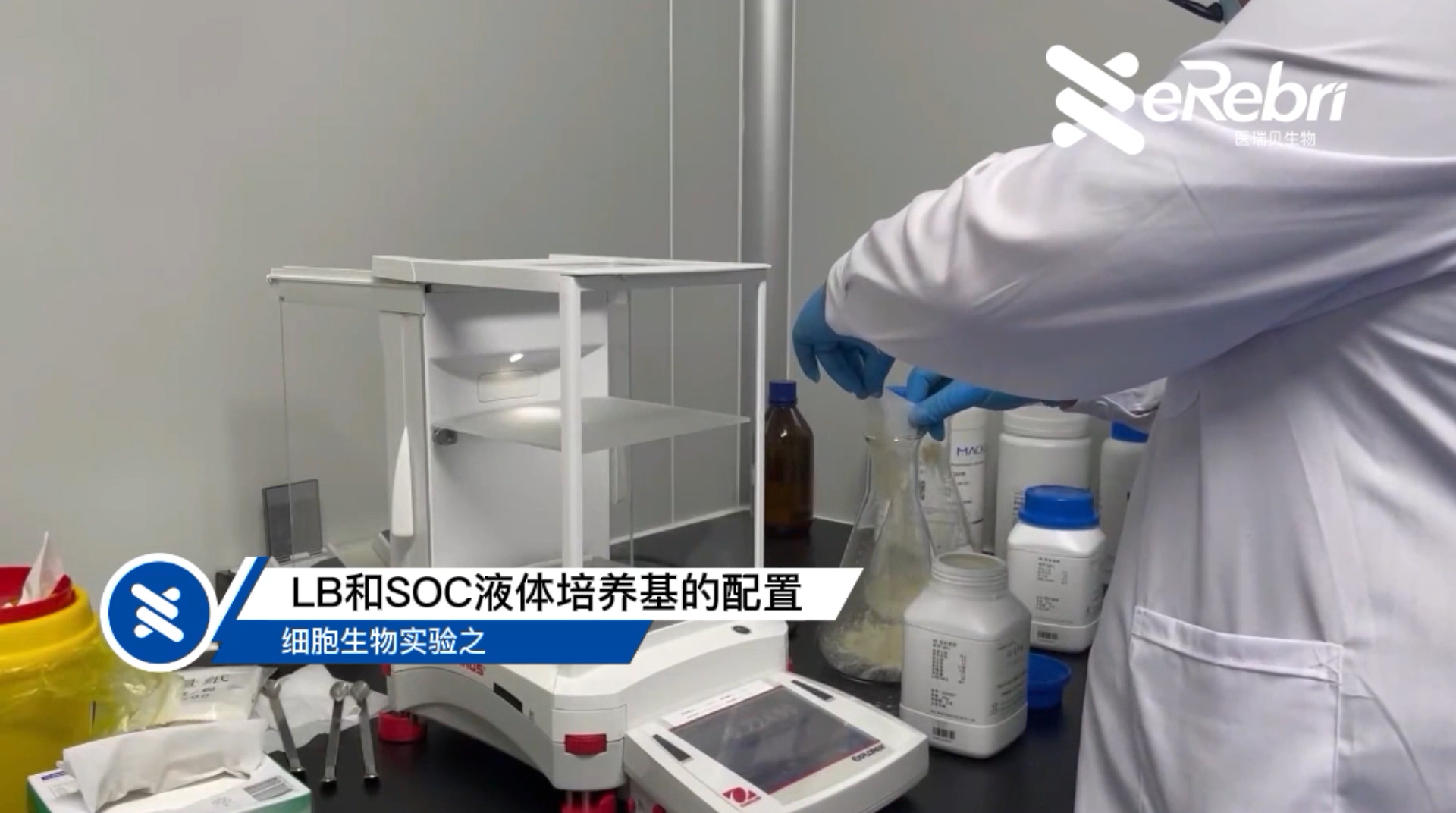 細胞實驗-LB和SOC液體培養基的配置