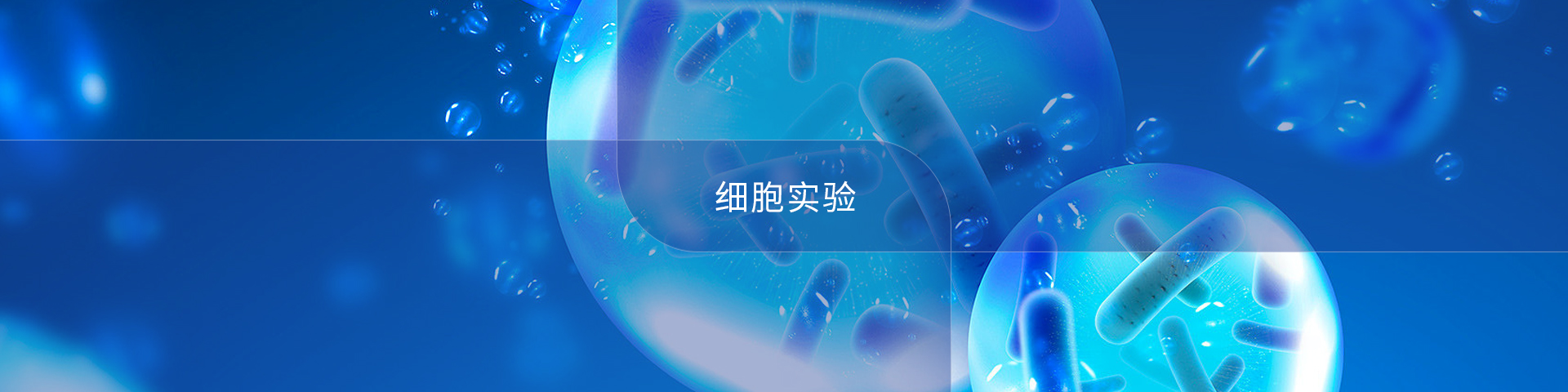 細(xì)胞實(shí)驗(yàn)