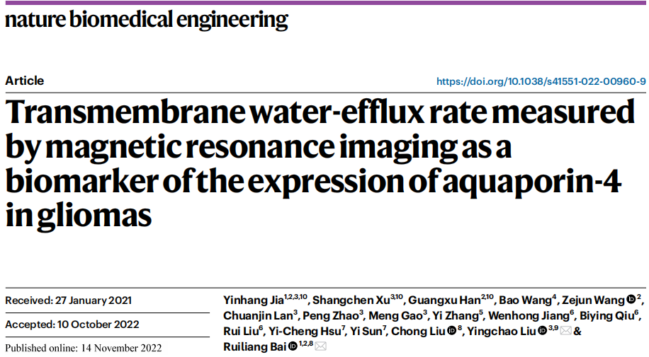 新型AQP4分子磁共振成像技術來了！將有效精準診斷膠質瘤