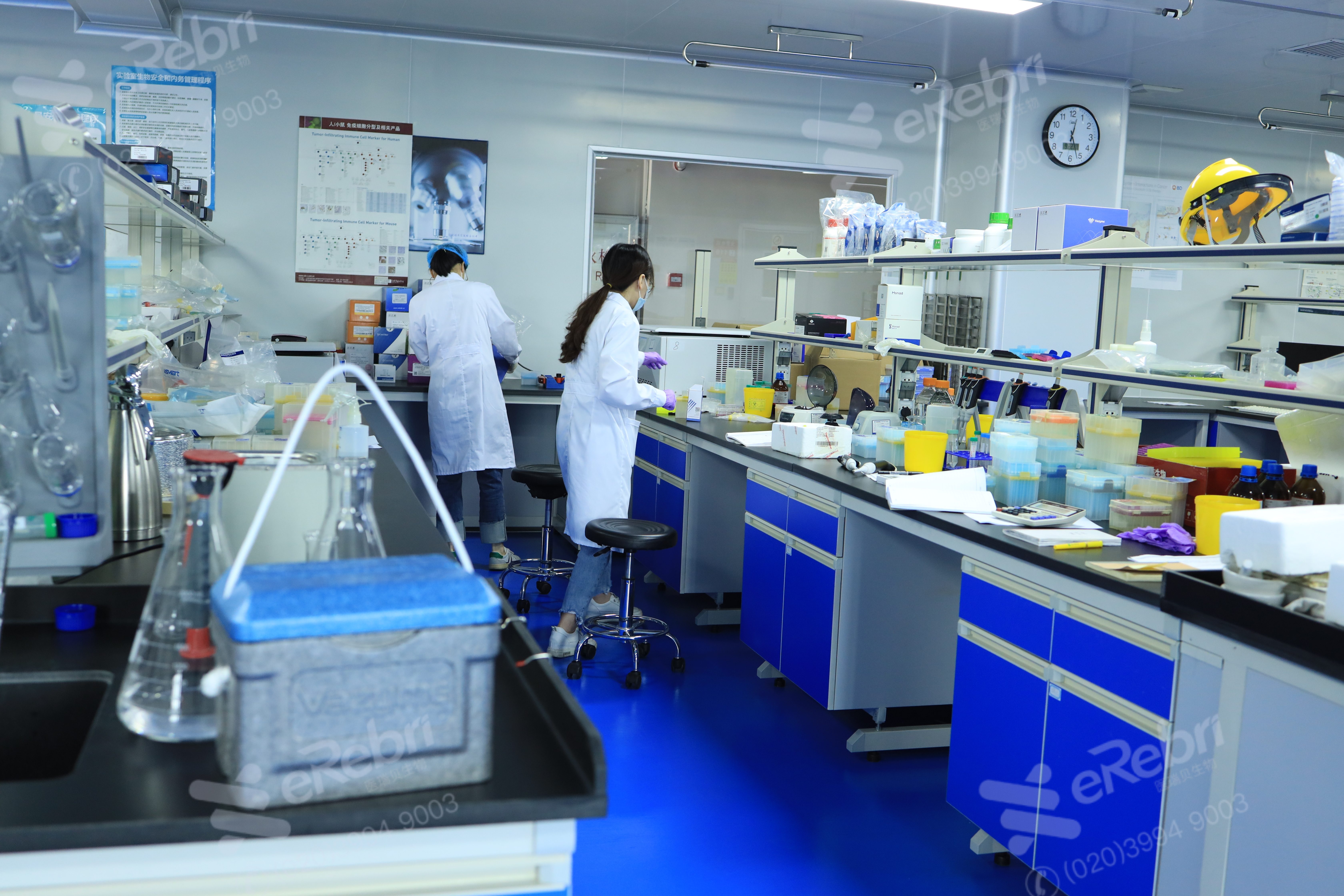 國(guó)家自然科學(xué)基金“十四五”學(xué)科重點(diǎn)支持方向到底有哪些