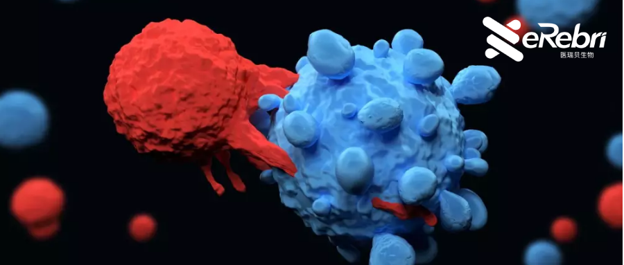 年終大盤點！醫(yī)學2022年十大最具影響力的科研事件來啦