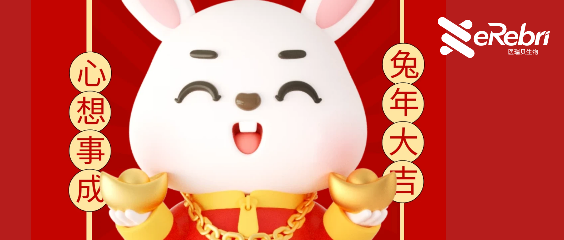 共赴新程｜醫(yī)瑞貝祝大家新年快樂！2023 宏“兔”大展